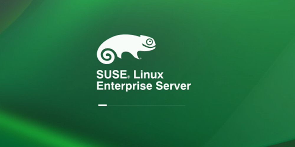 Suse linux enterprise server. SUSE Linux Enterprise. Линукс OPENSUSE. SUSE Linux Enterprise Server (sles). SUSE Linux Enterprise Server фото.